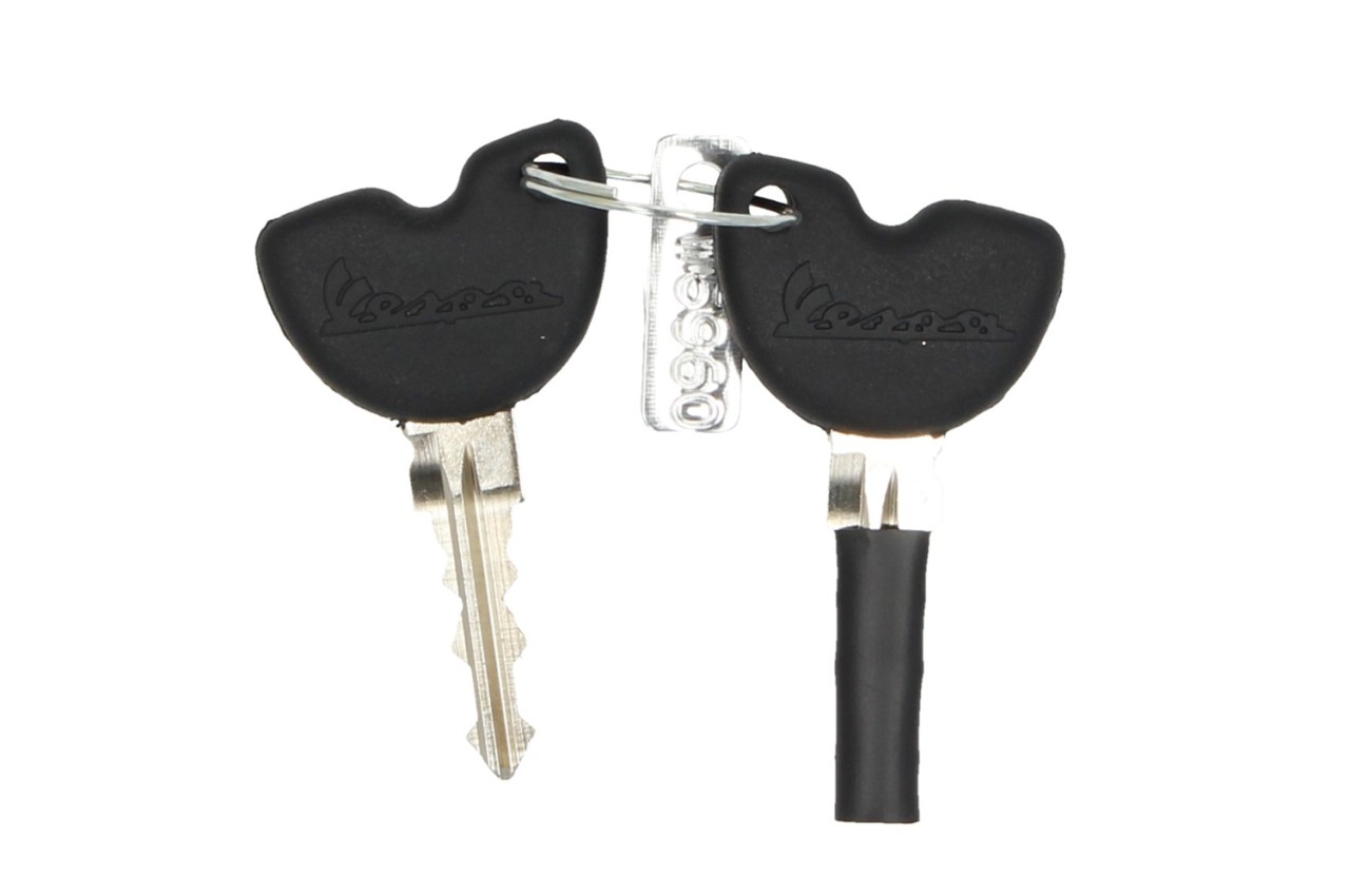 Bauletto originale per Vespa GTS - drago rosso / passione / 894